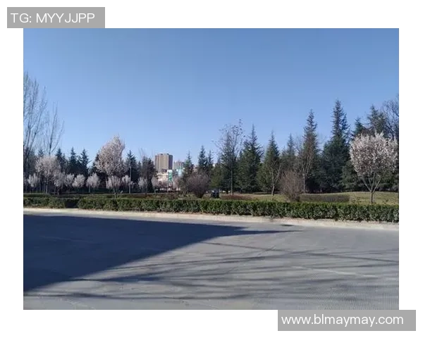 哪个足球明星外号师妹背后的故事与他的人生轨迹揭秘