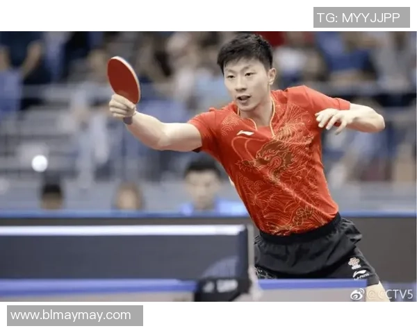 南京乒乓球队防守战术解析与实战应用研究